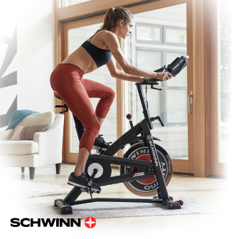 Schwinn 700IC 飛輪健身車